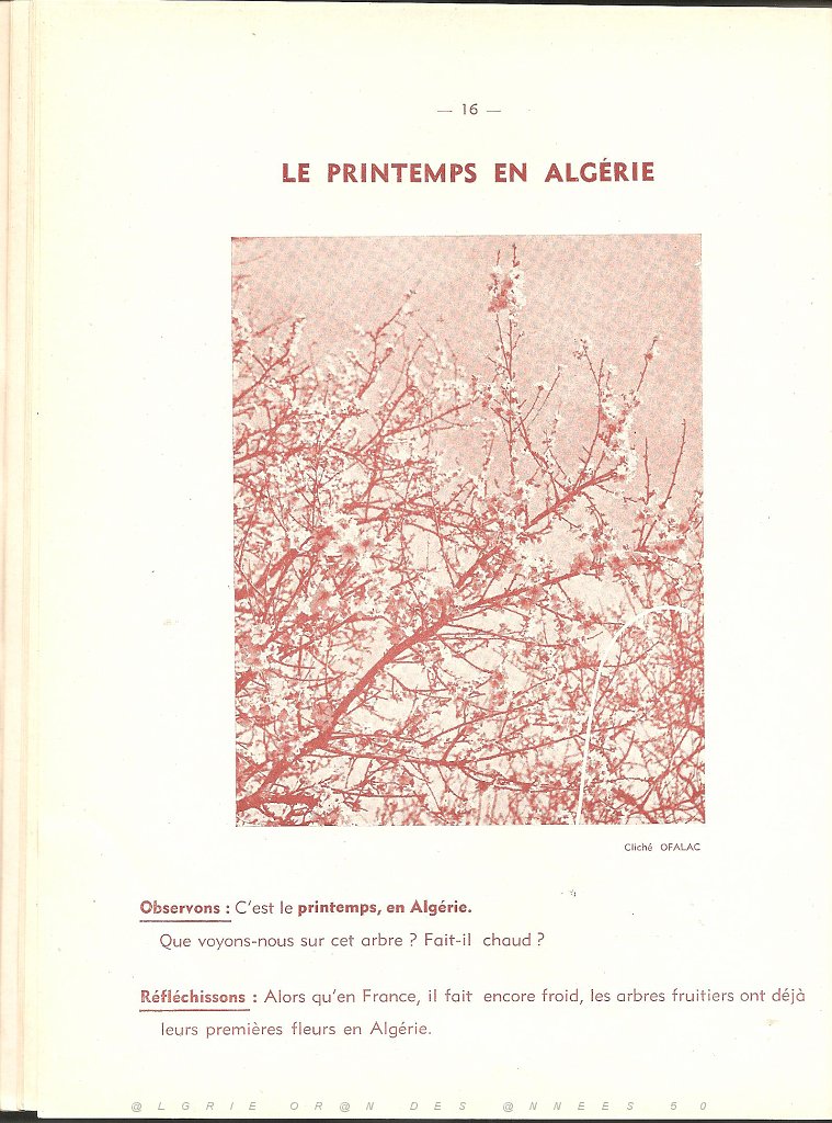 GEO CE1 CE2 DES ANNEES 50 PAGE (16).jpg